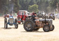 Malton Show 2025