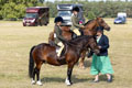 Malton Show 2025