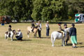 Malton Show 2025