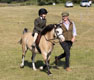 Malton Show 2025